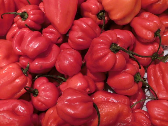 Habanero